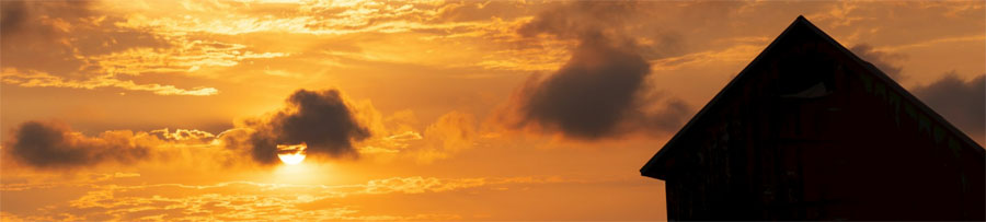 ballymoney solicitors